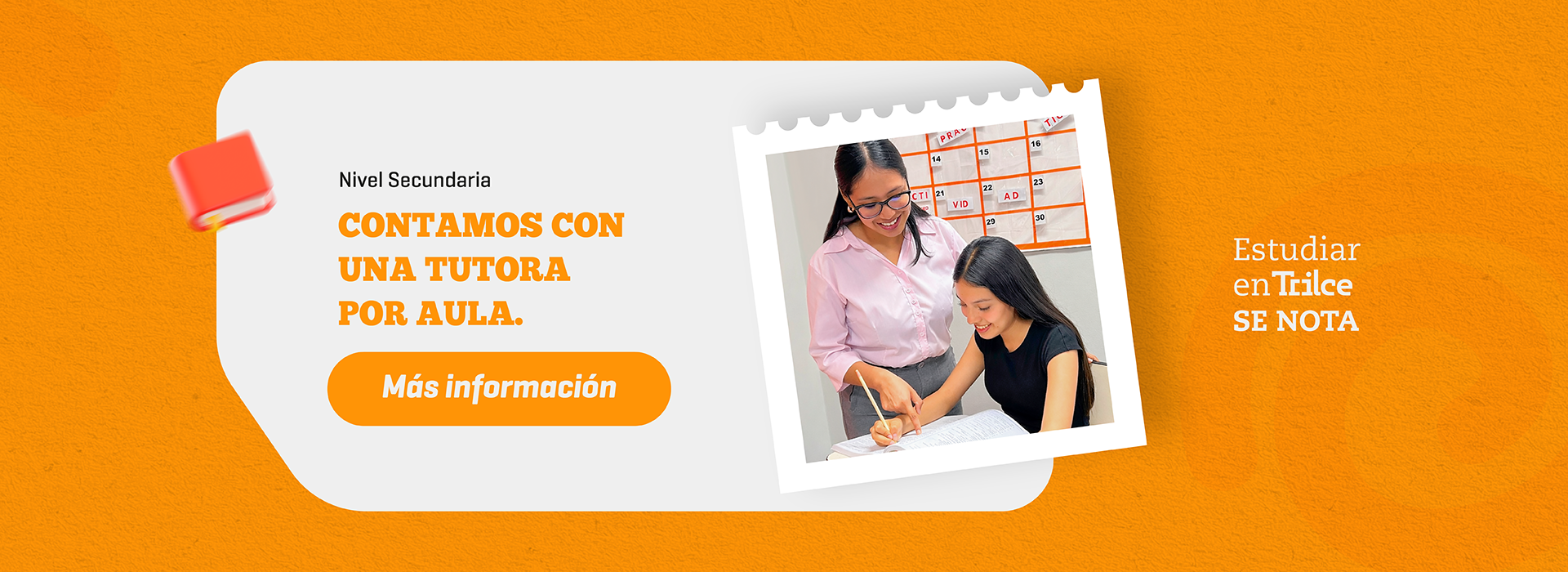 Pilares | Tutora por aula