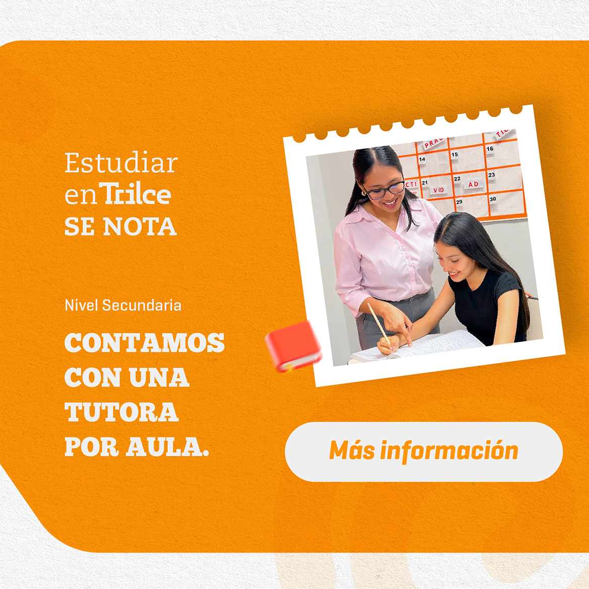 Pilares | Tutora por aula