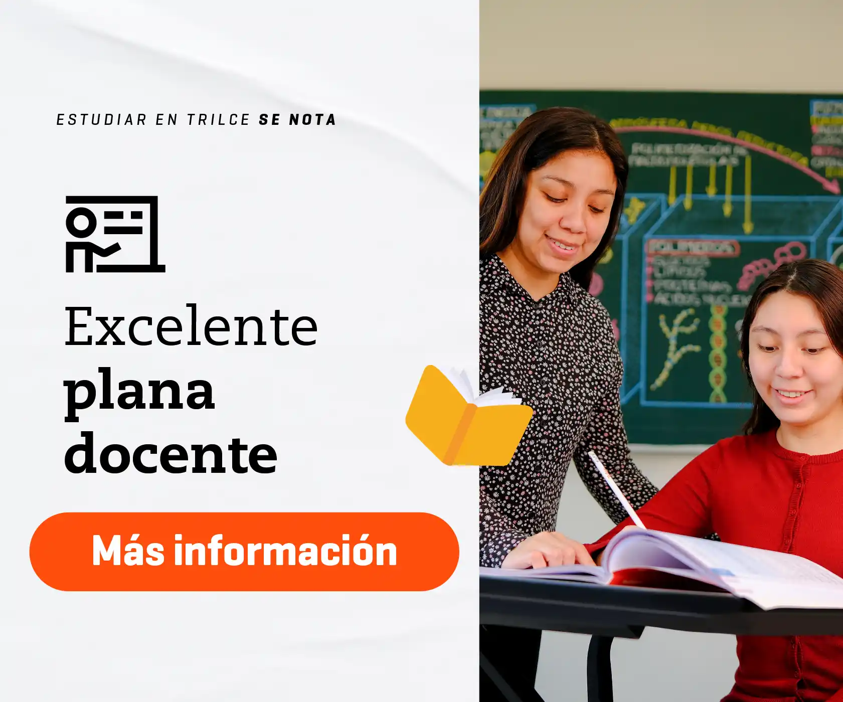 Plana docente - Colegios Trilce