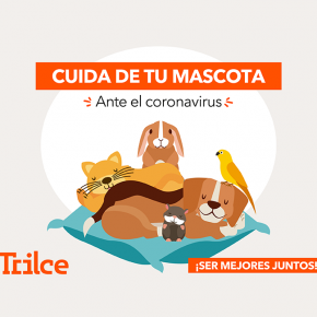 Cuida de tu mascota