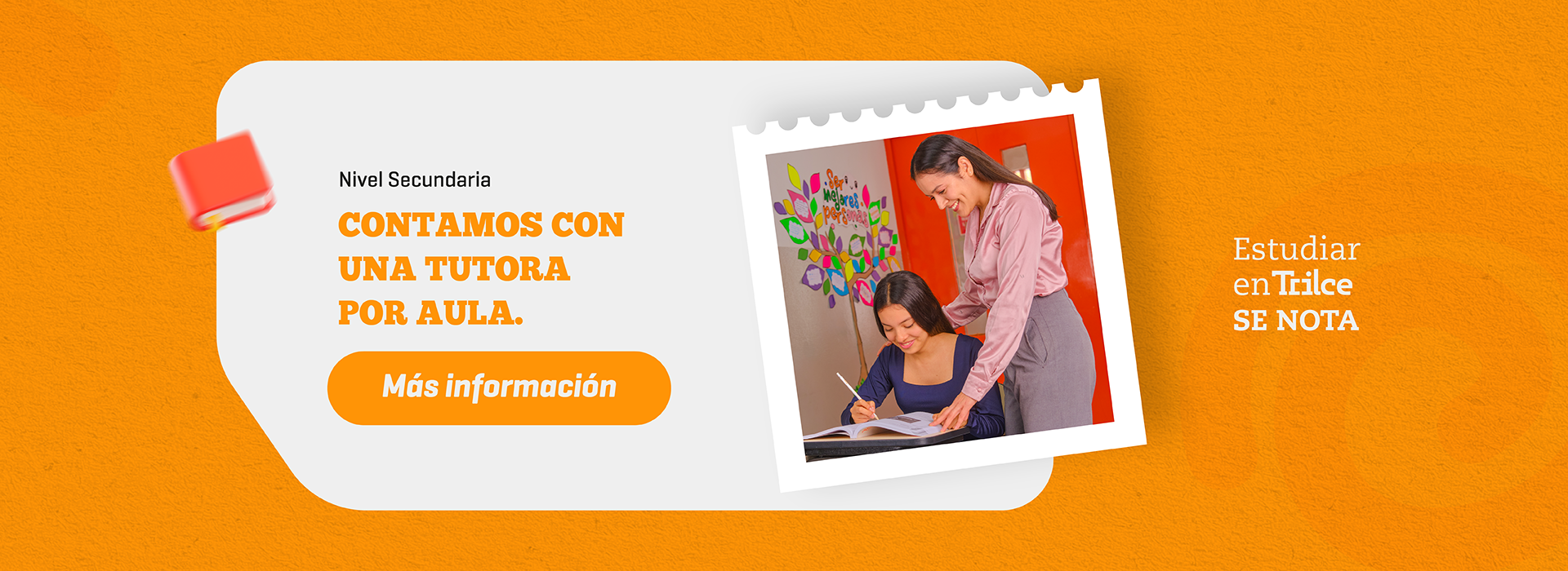 Pilares | Tutora por aula