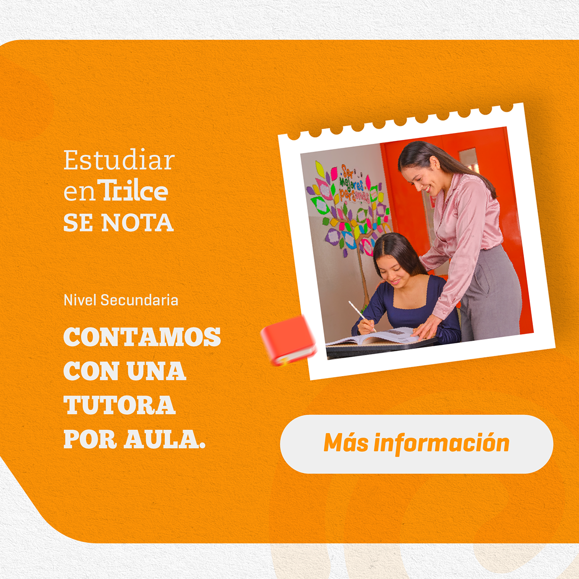 Pilares | Tutora por aula