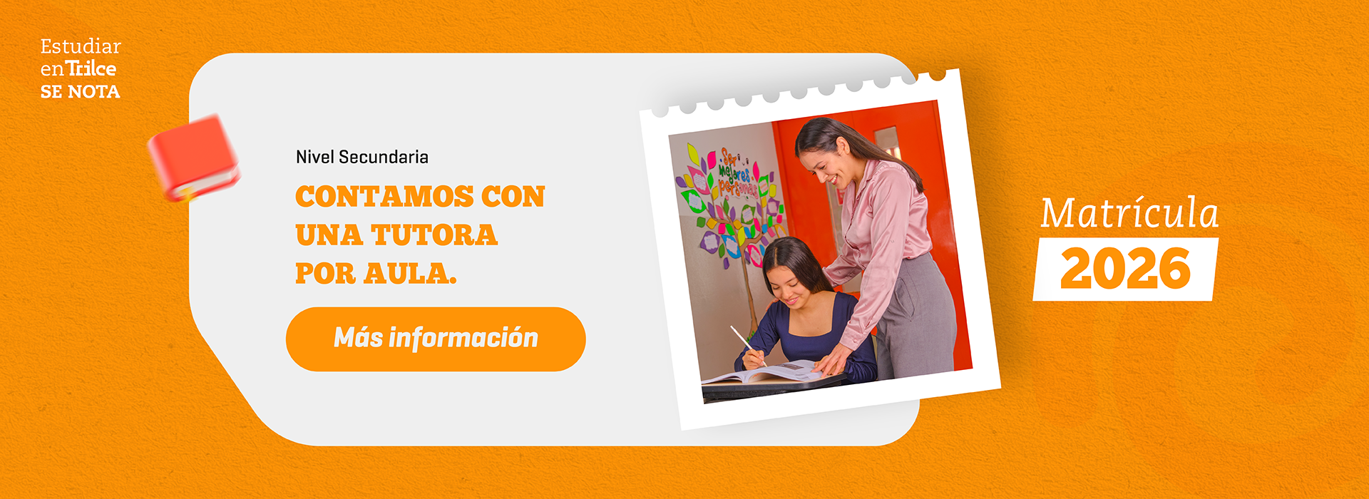 Pilares | Tutora por aula