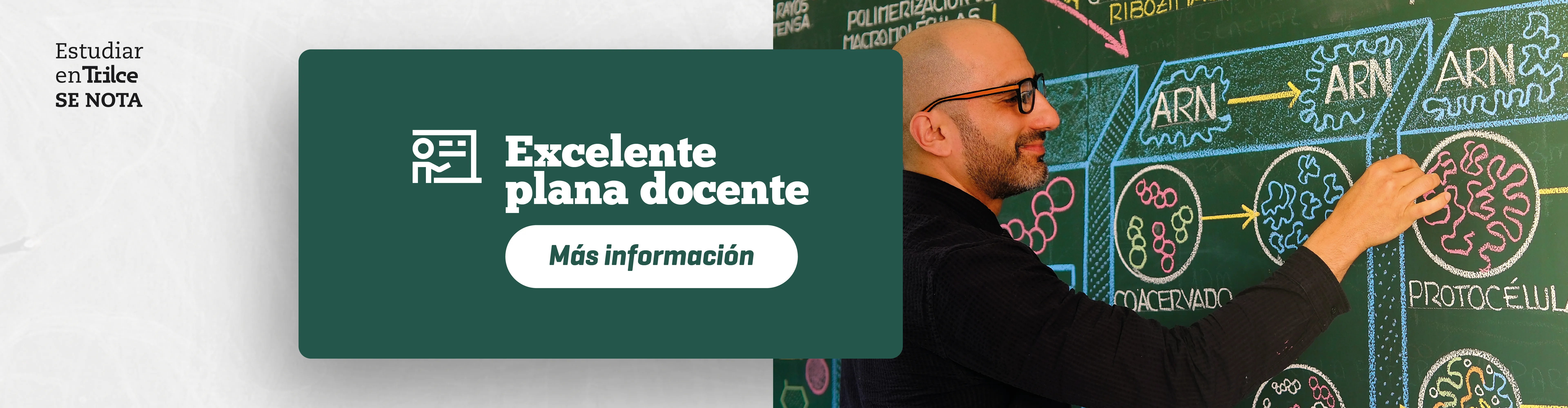 EX-PLANA DE DOCENTE