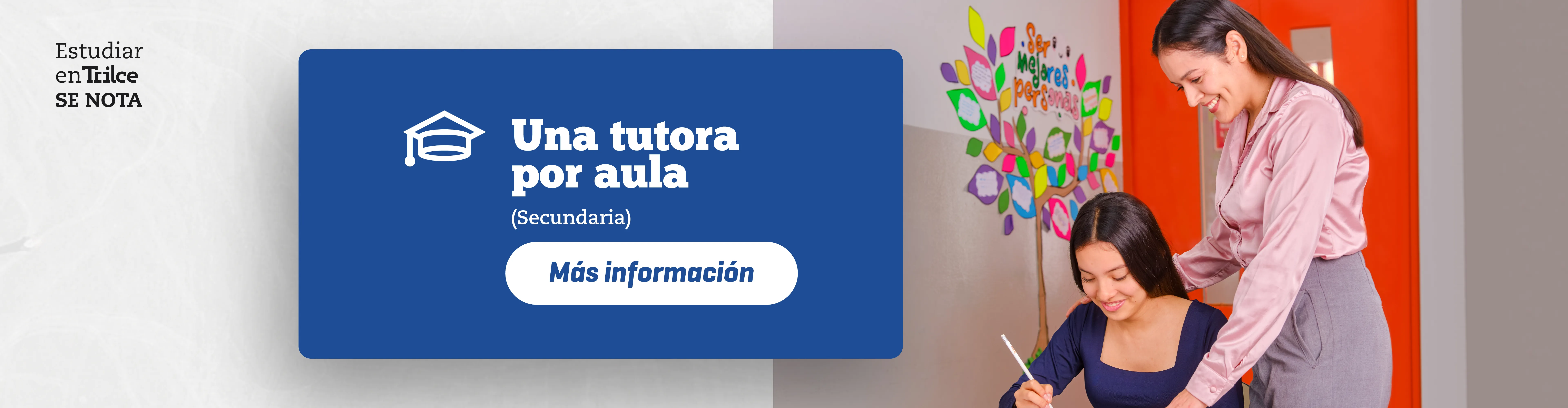 TUTORA AULA