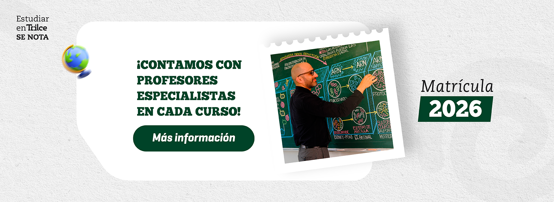 Pilares | Profesores expertos