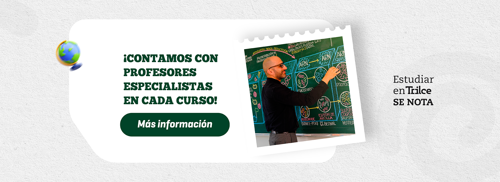 Pilares | Profesores expertos