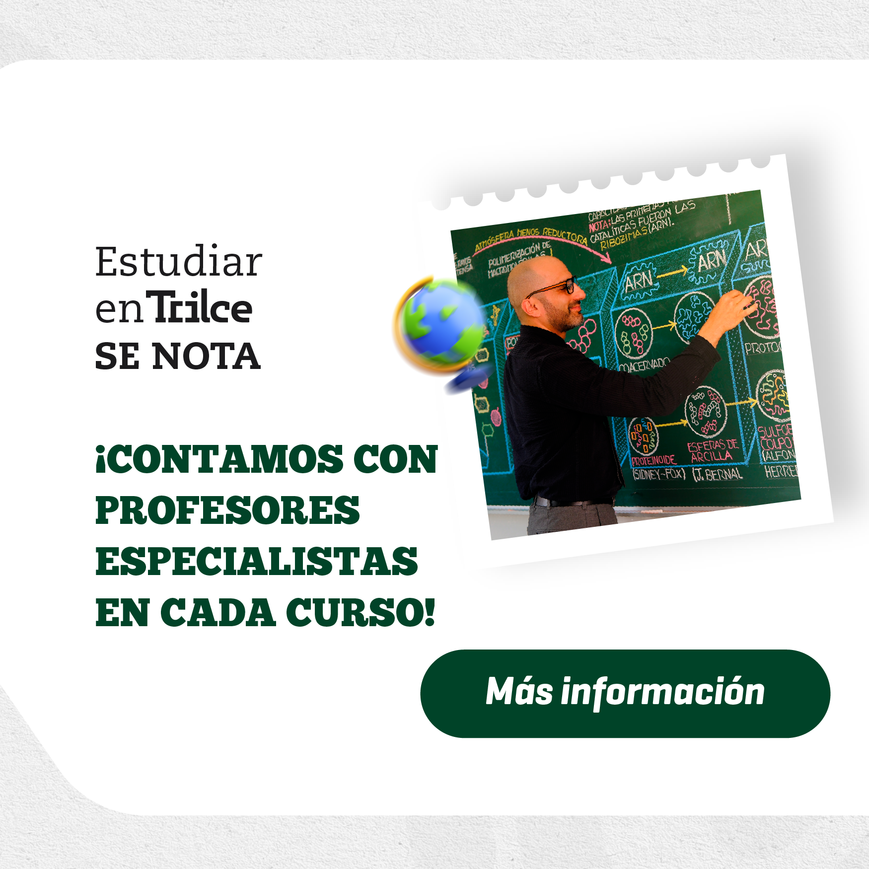 Pilares | Profesores expertos